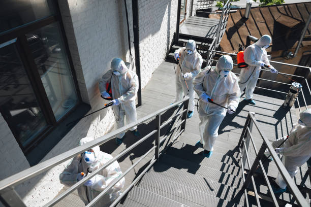 Best Industrial Mold Remediation  in Livingston, AL