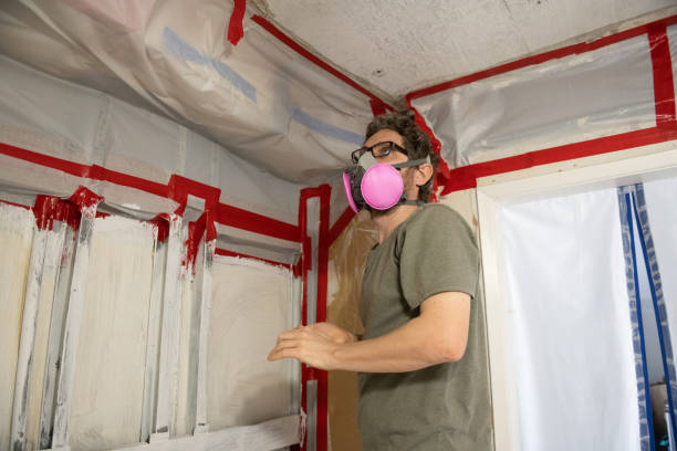 Best Commercial Mold Inspection  in Livingston, AL