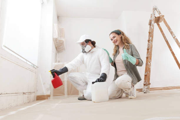 Best Mold Prevention Services  in Livingston, AL