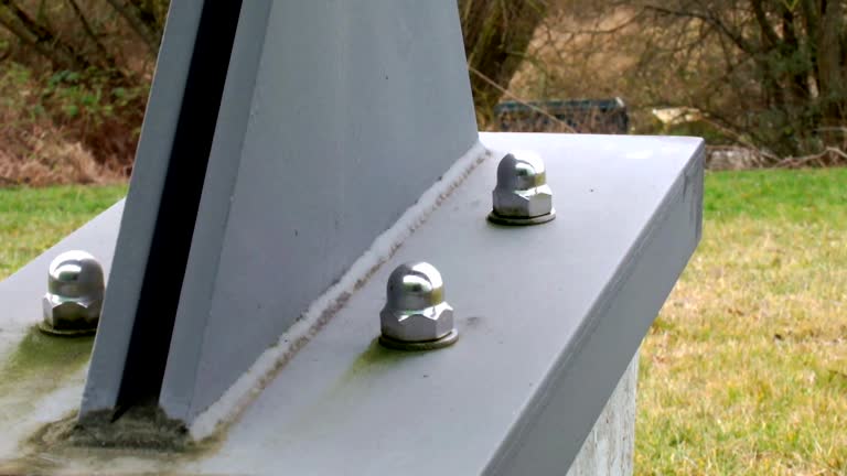 Best Mold Damage Restoration  in Livingston, AL