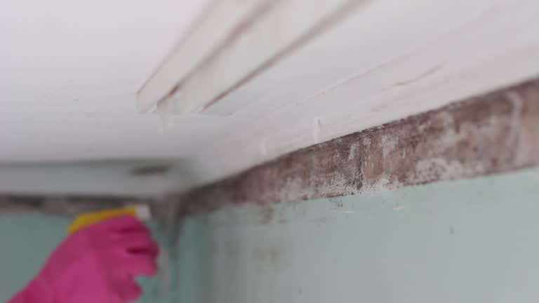 Best Post-Remediation Verification Testing  in Livingston, AL